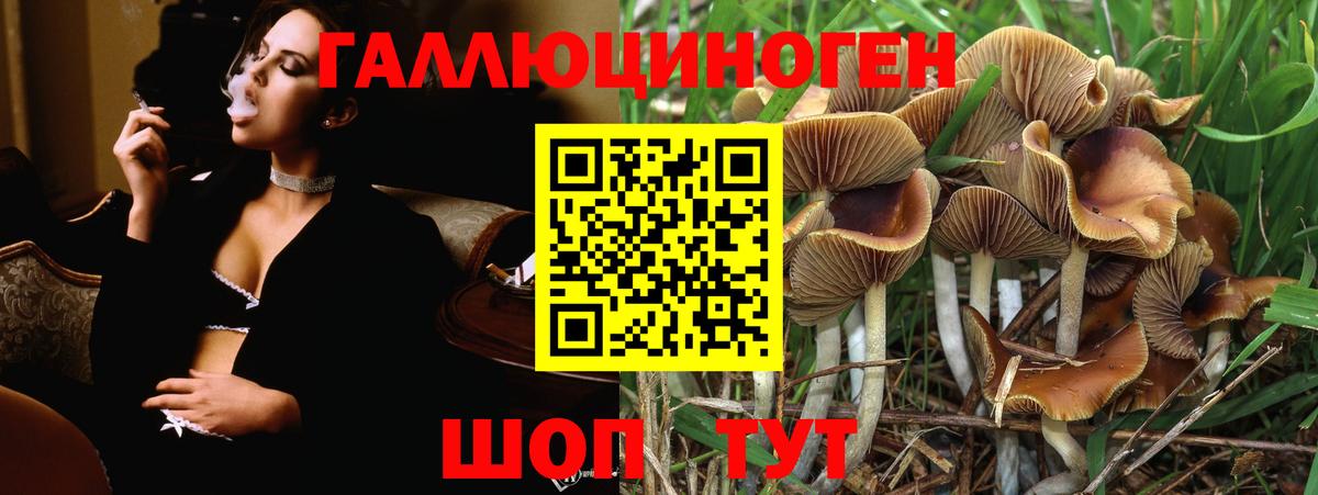 Псилоцибиновые грибы мицелий Губаха