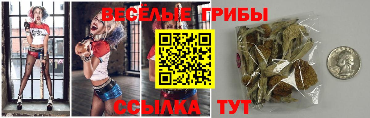 NBOMe  Конопля  Вход с VPN  ГАШИШ  Губаха  Кокаин  Меф кристаллы 